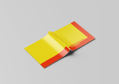 Design Disruption – Workbook